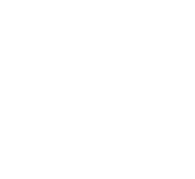 Irish Electric Vehicle Association